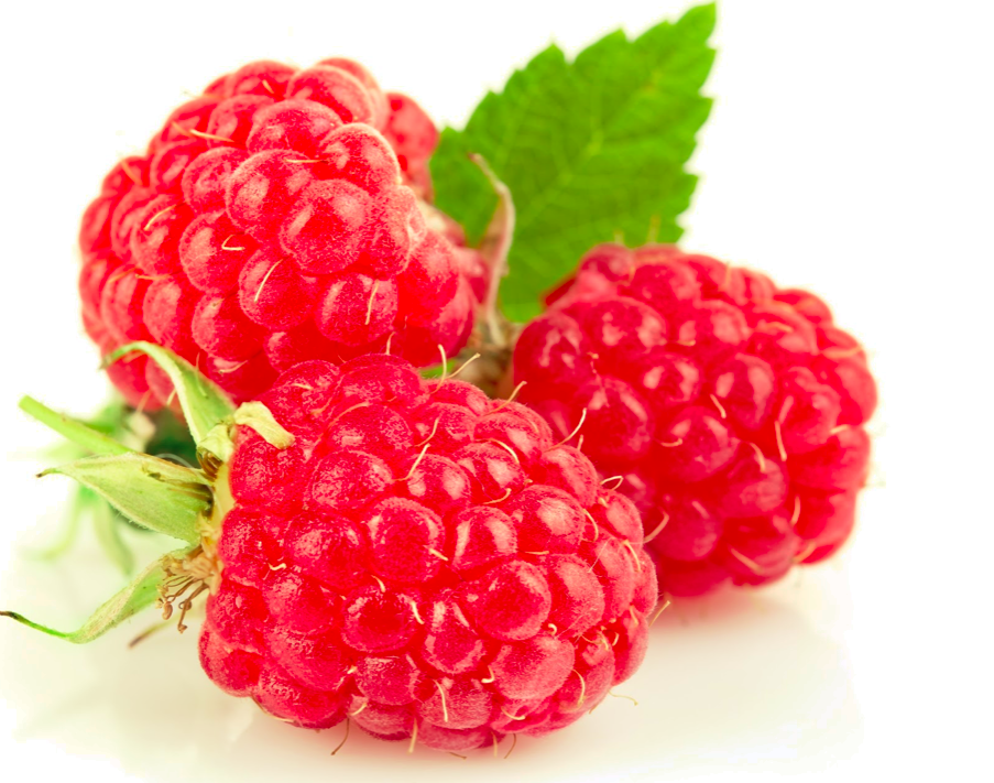 Raspberries - one of the categories for the Produce Show.