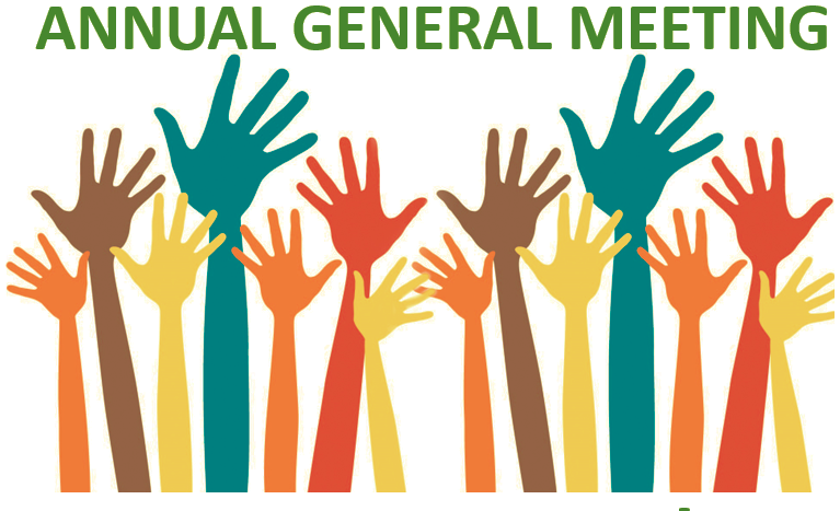 Image showing different coloured hands voting