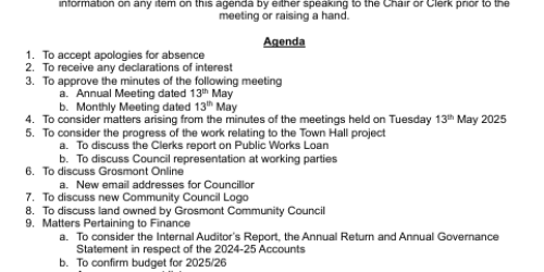 Monthly meeting June 2025 Monthly meeting June 2025