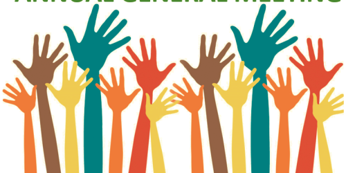 Image showing different coloured hands voting